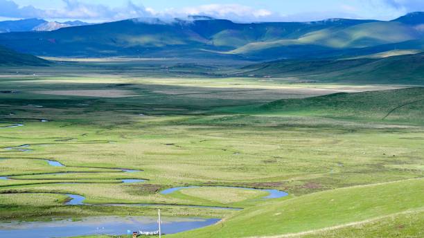 Guomang Wetland, Luqu County, Gannan Tibetan Autonomous Prefecture, Gansu Province.Guomang Wetland is 3562 meters of sea water, is the birthplace of the Yellow River tributary Tao River and water conservation land, in the Yellow River basin ecological conservation and water conservation is of great significance.