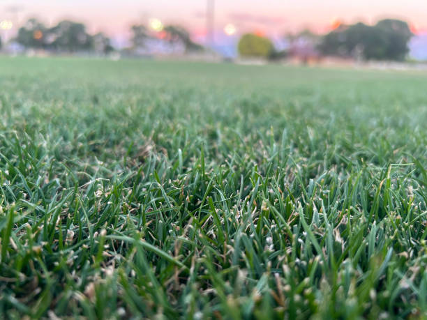 istock Soccer field in Las Vegas 2160369859
