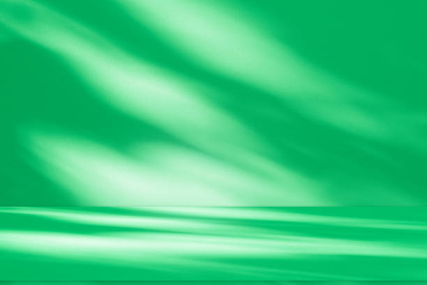 istock Wall interior background, studio and backdrops show products.with shadow leaf from window color green . background for text insertion and presentation product 2160373039