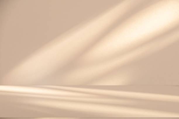 istock Wall interior background, studio and backdrops show products.with shadow leaf from window color white and beige . background for text insertion and presentation product 2160373040
