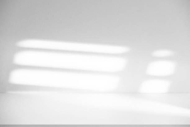 istock Wall interior background, studio and backdrops show products.with shadow from window color white . background for text insertion and presentation product 2160373064