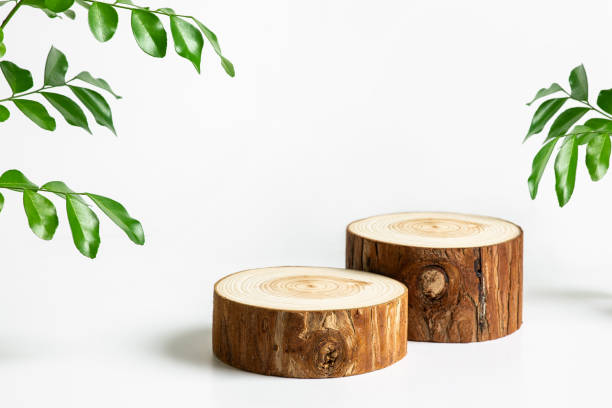 istock Authentic nature background concepts with tree stump podium display or rustic woodden stand product platform.minimalist presentation space 2160375123
