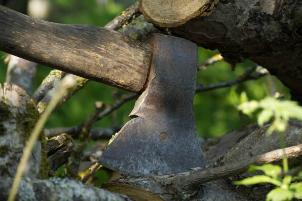 istock Close-up of a rustic axe embedded in a tree stump in a sunny garden 2160375193