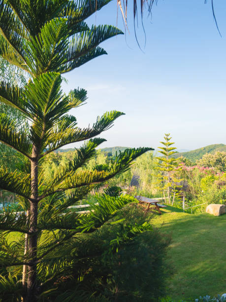 istock Scenic view of resort 2160375406