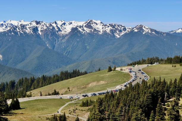 istock Updated Photo Of Hurricane Ridge 2160378731