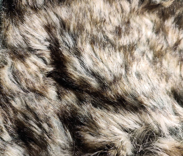istock Multicolor-fabric-texture-of-night(2) 2160380369