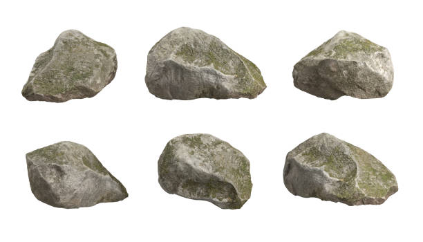 Moss rock shapes realistic isolated on white backgrounds 3d rendering