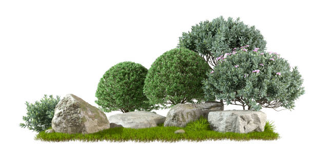 istock Isolated on white backgrounds gardening green shrubs plants composition with nature rocks 3d rendering 2160382891