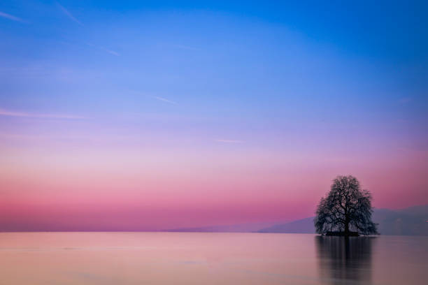 Forggensee during a winter twilight when the blu color mixes with pink and purple for a splendid blue hour scene