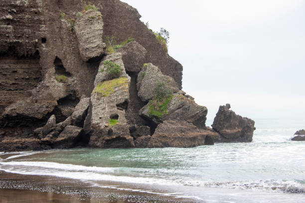 istock Taitamo Rock on Piha Beach 2160385539