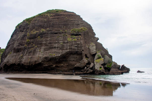 istock Taitamo Rock on Piha Beach 2160386058