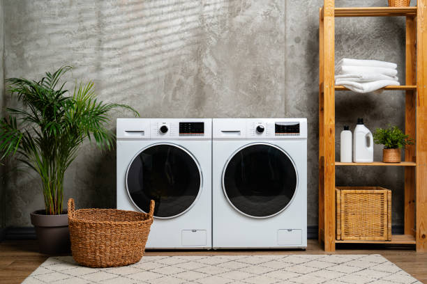 istock Modern Laundry Room With White Washing Machines and Greenery 2160386722