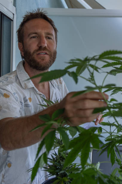 istock Man Tending to Plants on Balcony 2160389655