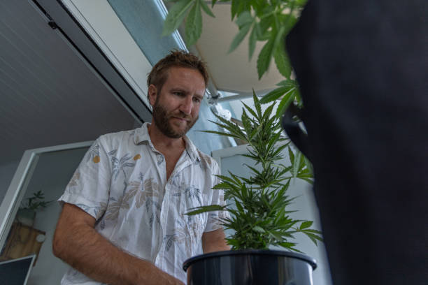 istock Man Caring for Indoor Plant on Balcony 2160390168
