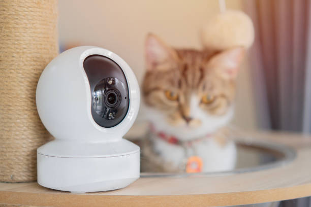 istock Selective focus of mini white CCTV camera standing on the cat tower. 2160393702