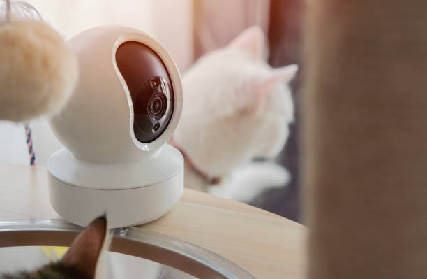 istock Smart house CCTV security camera setting on the cat tower with cats at home. 2160393710