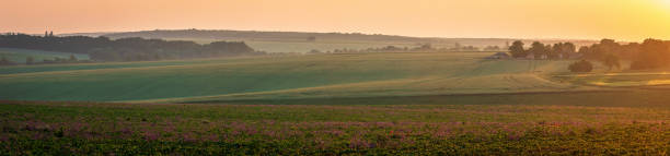 istock Panorama of agricultural fields 2160394968