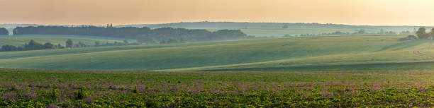 istock Panorama of agricultural fields 2160394988