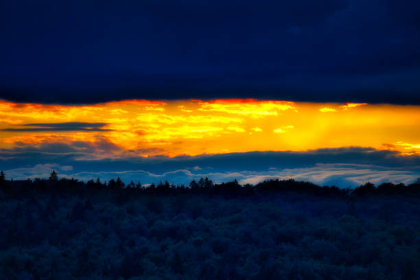 On the Rennsteig in the Thuringian Forest