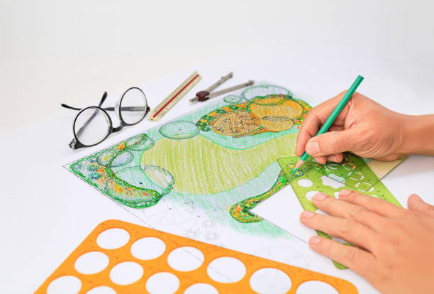 istock Garden design courses student is learning fundamentals garden design and planning. 2160402488