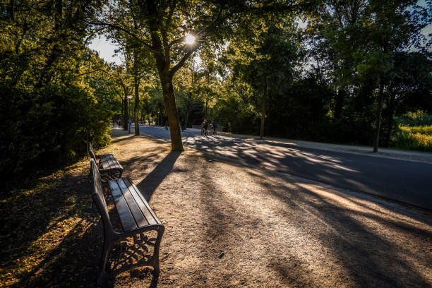 istock Sunlit Benches and Shadows in Vondelpark - Amsterdam, Netherlands 2160403453