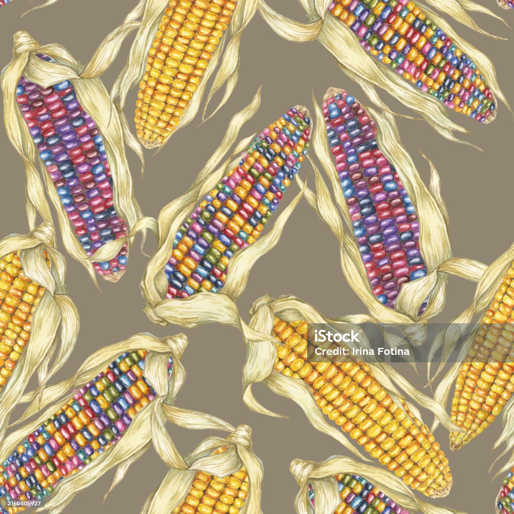 Pattern Maize Design Yellow And Indian Corn Dense Seamless Pattern Rainbow Maize Textile ...