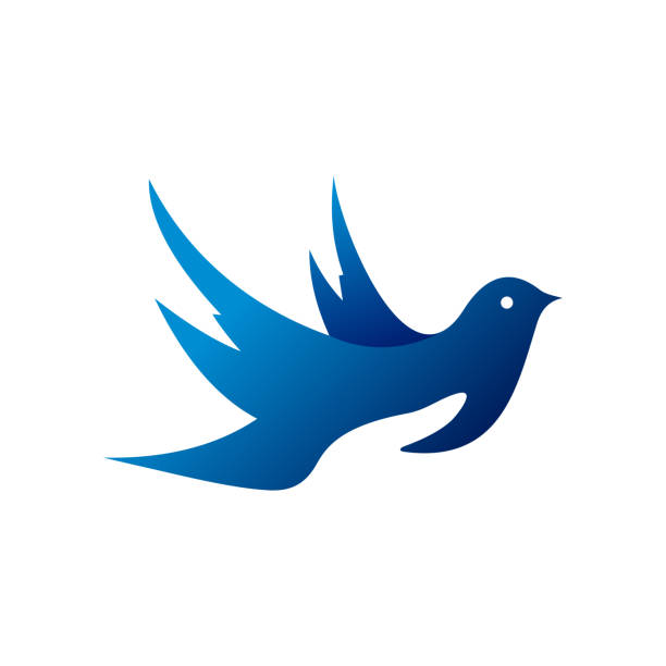 Logogram Bird 4,400+ Bird Hand Logo Stock Illustrations, Royalty-Free Vector Graphics ...