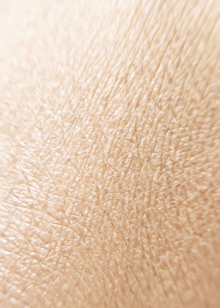 istock texture of dry human skin close-up 2160409453