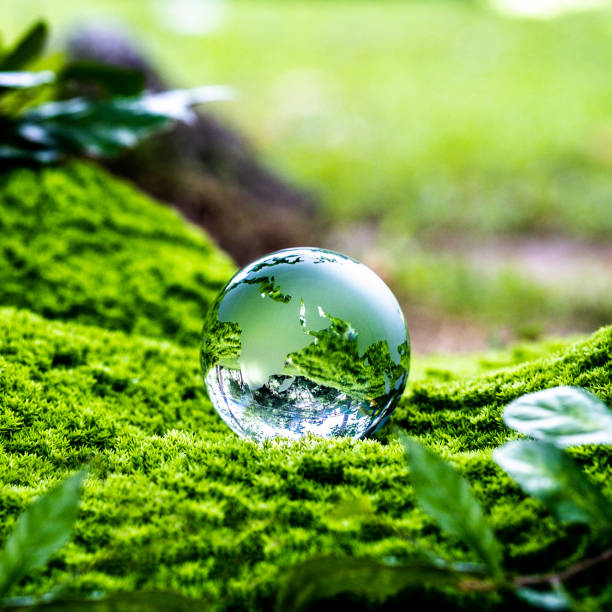 istock Crystal globe in the forest placed on moss and sunlight. concept ecology world environment day cleaning the world 2160410483