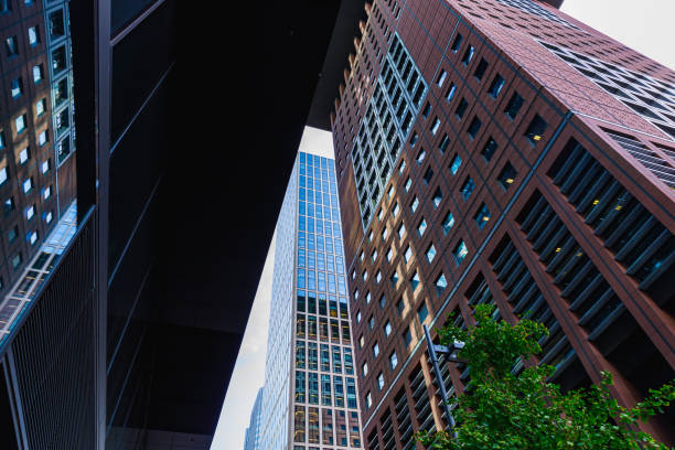 Low angle view of tall office buildings towards the sky, downtown Frankfurt am Main