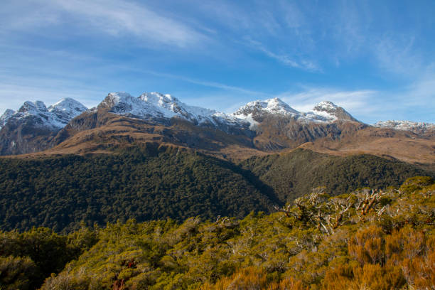 istock Key Summit Trail in New Zealand 2160414168