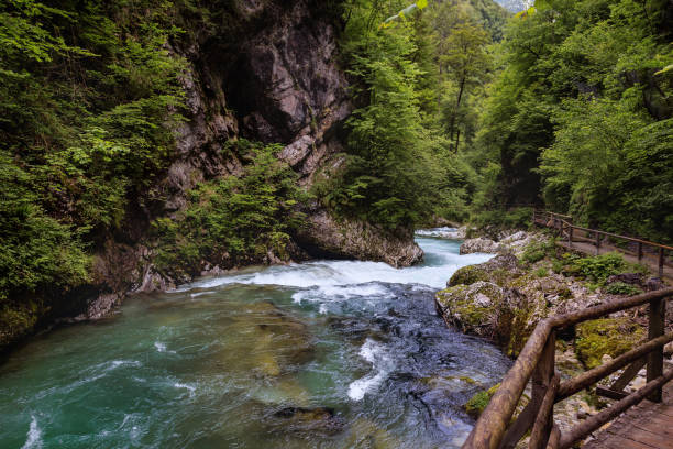 istock Walking path in the forest along a mountain river. Vintgar Gorge, Slovenia 2160416701