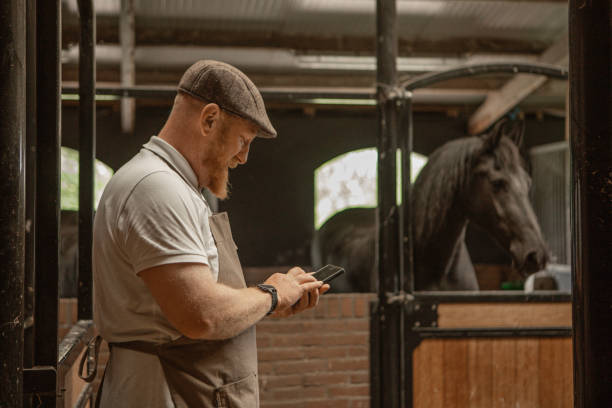 istock Redhead farmer using technology in a small rural Netherlands farmyard 2160420015