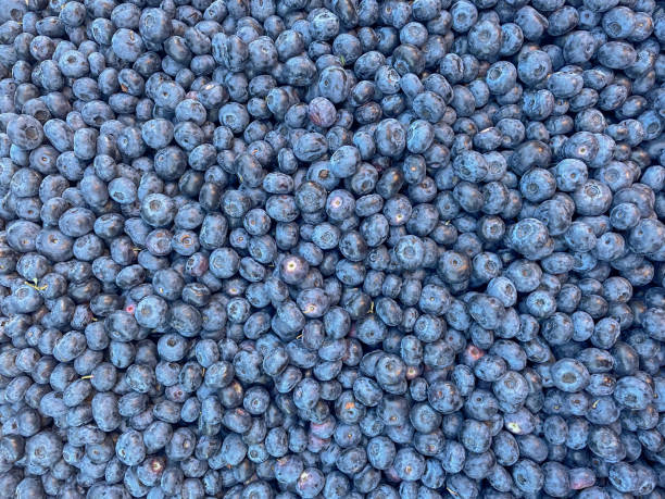 istock Thick layer of blueberries. Natural blueberry background. 2160420853