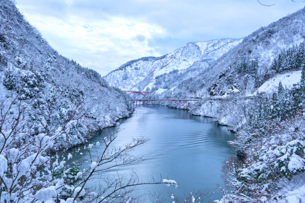 Snowy winter landscape in the UNESCO Heritage Site old village of Shirakawago, in Gifu prefecture, Japan.