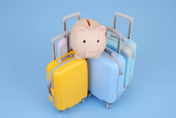 istock Piggy bank and four suitcases on blue background. 2160427587