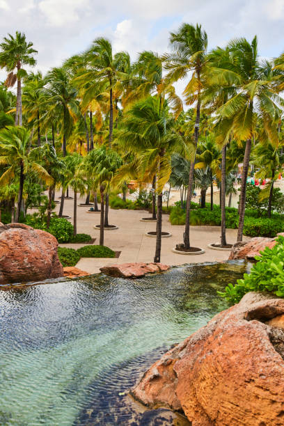 istock Serene Tropical Resort with Palm Trees and Water Feature, Bahamas 2160427843