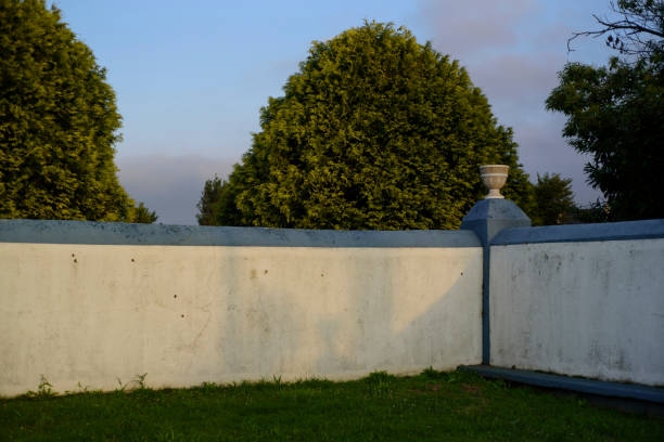 Barbed wire fence