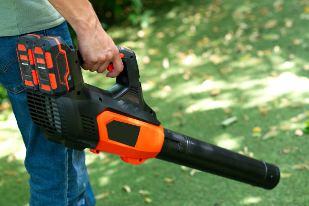 istock Cordless Leaf Blowers. handheld, cordless, electric leaf blower in a garden, selective focus. Autumn, fall gardening works in a backyard, on a lawn, grass. Garden works. 2160431300
