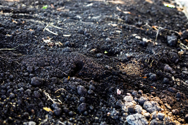 istock abstract background from fresh black soil. Sowing work. Farming 2160431640