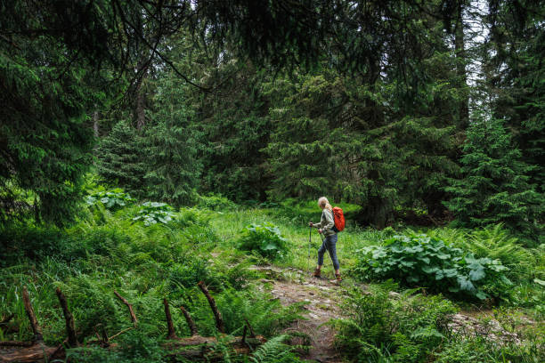 istock Hiker with backpack and hiking poles walks up to hill 2160431879