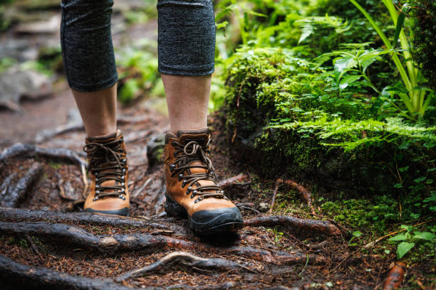 istock Hiking boots on trekking trail in forest 2160431899