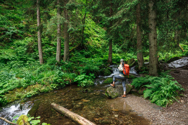 istock Woman with backpack hiking in wilderness 2160431909