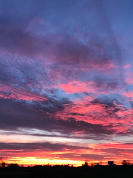 istock Sunset in pink and blue orange with trees 2160432222