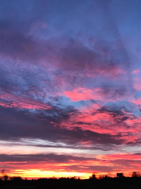 istock Sunset in pink and blue orange with trees 2160432242