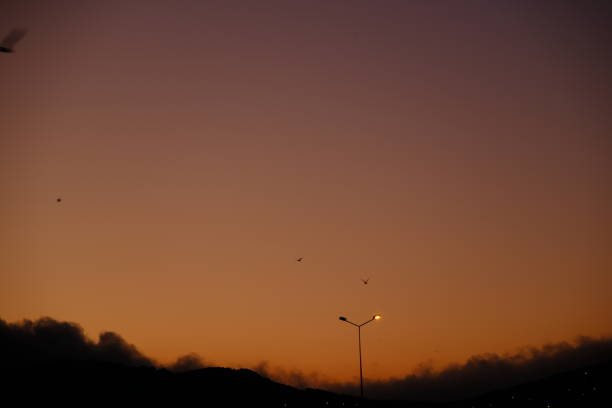 City skyline at sunrise. Fog clouds covered the hills of the city. A red sky