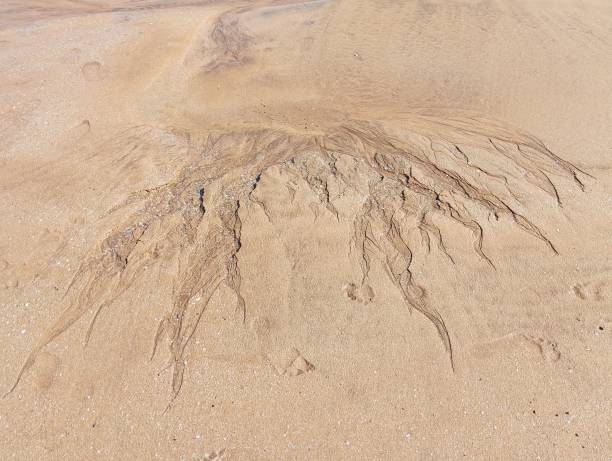 istock sea ​​level drop on the beach 2160437359