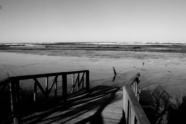 beach deck photography in black and white