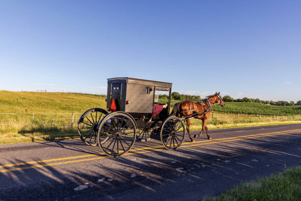 istock Amish Buggy on Rural Indiana Road 2160442204