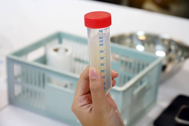 istock Asian students conduct a science experiment on extracting DNA from onions serves as a blueprint for everything in living cells, serving to tell the organism what it should look like and how it works. 2160454115